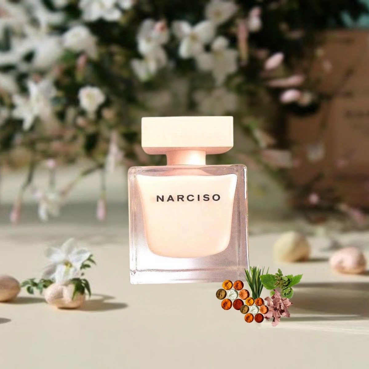 Nước Hoa Nữ Narciso Rodriguez Poudree EDP