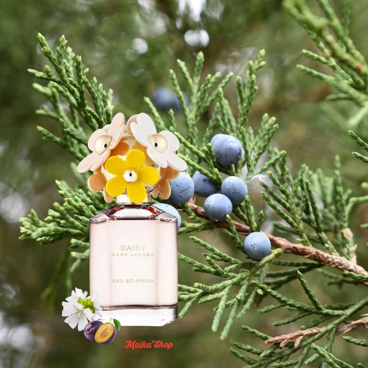 Marc Jacobs Daisy Eau So Fresh
