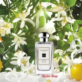 Nước Hoa Unisex Jo Malone Nectarine Blossom & Honey Chính Hãng