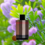 Nước Hoa Nam Burberry London for Men EDT Chính Hãng