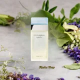 Nước Hoa Nữ Dolce & Gabbana Light Blue EDT Chính Hãng