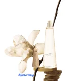 Nước Hoa Nữ Issey Miyake L’Eau d’Issey Eau & Magnolia EDT Intense